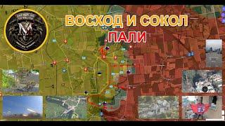 Кровавая Бойня В ГлубокомРассечение Купянского Направления. Военные Сводки И Анализ За 06.07.2024