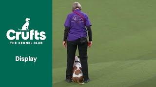 Super Staffies Take Over Crufts | Crufts 2022