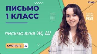 Видеоурок 15. Письмо букв Ж, Ш. письмо 1 класс