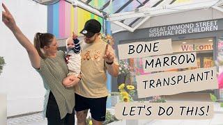 BONE MARROW TRANSPLANT TO SAVE HIS LIFE! - TEDDY BEARS BATTLE AGAINST CANCER (AML LEUKAEMIA)! - #EP1