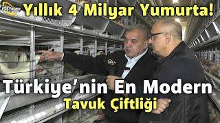 Türkiye'nin En Modern Tavuk Çiftliği! Yıllık 4 Milyar Yumurta! - Çiftçinin Seyir Defteri