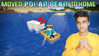 Finally i moved Polar Bear To Home  || Minecraft survival #26