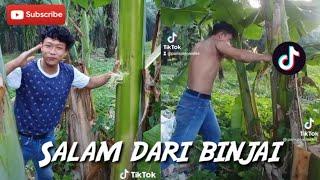 SALAM DARI BINJAI YANG LAGI VIRAL | Kompilasi Video Lucu