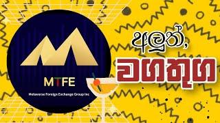 MTFE අලුත් විස්තර | MTFE trading sinhala | MTFE |