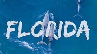 Flying Over Florida | DJI Air 3 Cinematic Drone Video