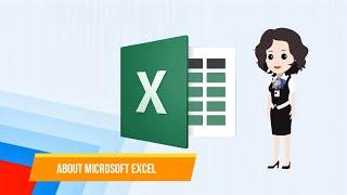 About Ms Excel