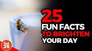 25 Fun Facts to Brighten Your Day