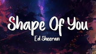 Shape Of You - Ed Sheeran (Lyrics/Vietsub)