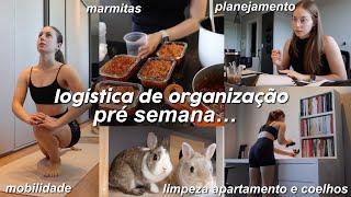 VLOG DE DOMINGO | limpeza e organização do apartamento, preparação das marmitas, planejamento…