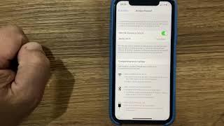 Como ativar função acesso pessoal iPhone 7,8,X e 11 (acesso pessoal inativo)