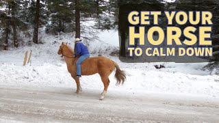 GETTING A NERVOUS HORSE TO RELAX ON A RIDE