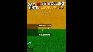 Day 12 of rolling fruit until I get LEOPARD in Blox Fruits!