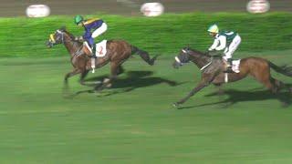 4th Race The Naran Plate Distance 900 Meters Winner Handsome ( Pakistan Horse Racing )