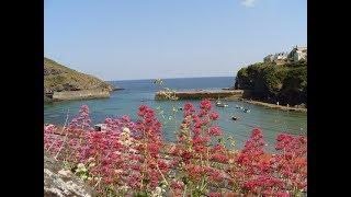 Places to see in ( Port Isaac - UK )