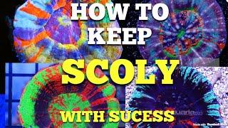 How To Keep A Scoly Coral (100% Success)
