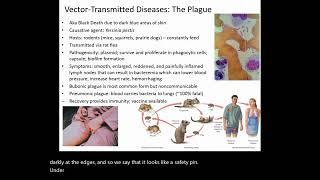 Brucellosis, Plague, and Lyme Disease