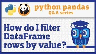 How do I filter rows of a pandas DataFrame by column value?