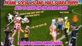 PRANK SOCIAL ISLAND PAKE SUARA PUPPY AUTO DI SERBU OM OM SOCIAL ISLAND 