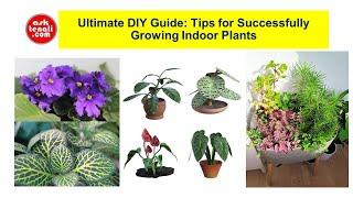 Ultimate DIY Guide: Tips for Successfully Growing Indoor Plants