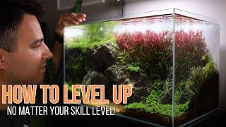 5 TIPS to ELEVATE your AQUASCAPE!