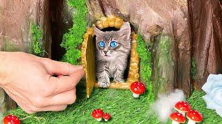 Rescue the TINIEST KITTEN in the World *DIY Kitten House and Makeover*