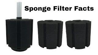 Sponge Filter Facts | Advantages and Disadvantages | Amazing Aquatic Life | Aquarium Accessories |