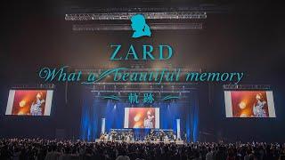 ZARD“What a beautiful memory 〜軌跡〜”ダイジェスト