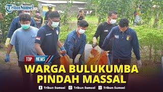 Heboh! Warga Kampung di Bulukumba Sulsel Pindah Massal, Trauma usai Kasus Pembunuhan Sadis