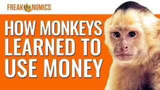 The Experiment That Taught Monkeys How to Use Money | Freakonomics