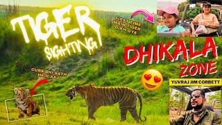 TIGER SIGHTING DIKHALA PAHUNCHTE HE  HEART OF CORBETT  #yuvrajjimcorbett