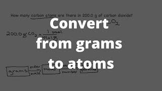 Chemistry - How many carbon atoms are there in 200.0 g of carbon dioxide?