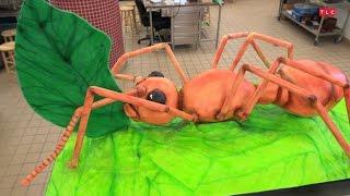 Building a Giant Ant Cake | Cake Boss