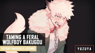 Taming A Feral Wolfboy Bakugou ASMR | Katsuki Bakugou x Listener