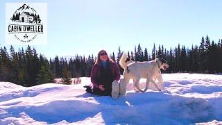 Is spring finally here at the cabin?? | CABIN LIFE in the YUKON