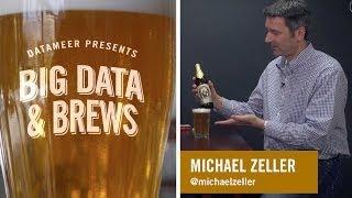 Big Data & Brews: Michael Zeller, CEO of Zementis, part 1