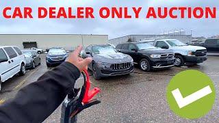 CAR AUCTION WALK AROUND AT CAR DEALER ONLY AUTO AUCTION