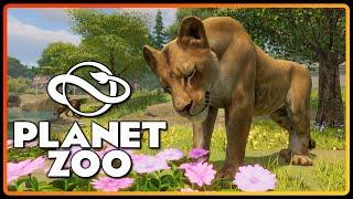 LIVE! - Let's Play Planet Zoo With DansGaming