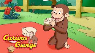 George Goes on a Picnic  Curious George  Kids Cartoon  Kids Movies