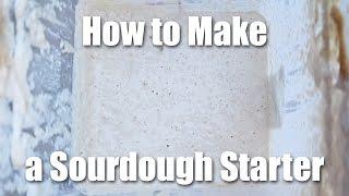 How To Make A Sourdough Starter - Video Recipe