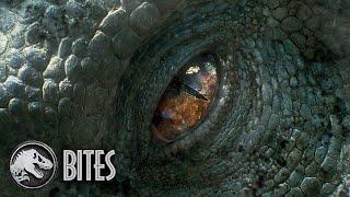 The Indominus Rex Plays Soccer | Jurassic World Bites #shorts