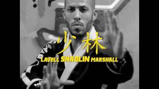 Lavell "Shaolin" Marshall - Protect Ya Neck - Dynasty MMA