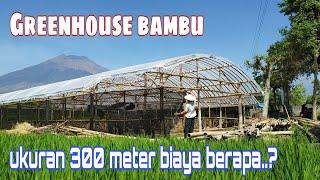 Cara membuat greenhouse bambu murah biaya