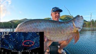 Using Live Scope to catch HUGE PREHISTORIC fish! Saratoga fishing