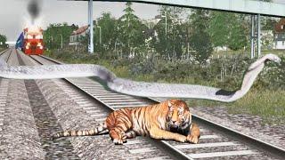 Snake Tiger Vs Train | Train never Stop | HiddenFolksWorld