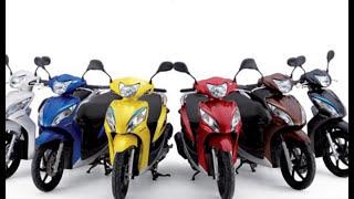 Cho Thuê Xe Máy Hạ Long - Đông's Motorbike Rentals | Cho thuê xe máy quảng ninh.