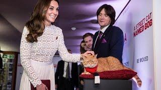Duchess of Cambridge meets street cat named Bob | 5 News
