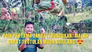 REJEKI MIKAT TRUNCUKAN DAPAT KUTILANG TROTOLAN