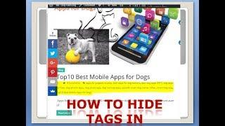 how to hide tags, author name  and meta tags in  wordpress (blogger)