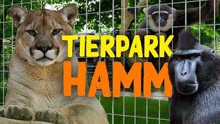 Tierpark Hamm | Zoo-Eindruck