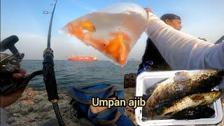 Umpan paten ‼️ mancing di Laut umpan ikan emas || tehnik mancing gagal boncos